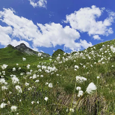 Apartamento Am Doerfl *